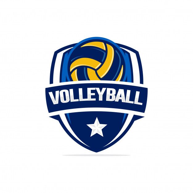 VolleyBall Logo